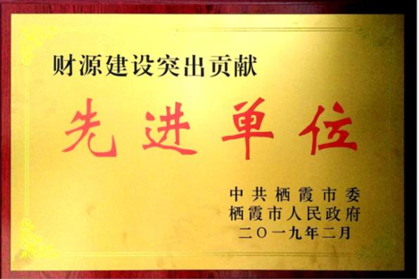 财源建(jiàn)設突出貢獻先(xiān)進單位